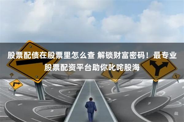 股票配债在股票里怎么查 解锁财富密码！最专业股票配资平台助你叱咤股海