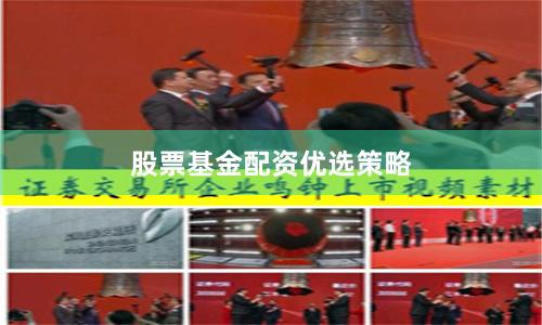 股票基金配资优选策略