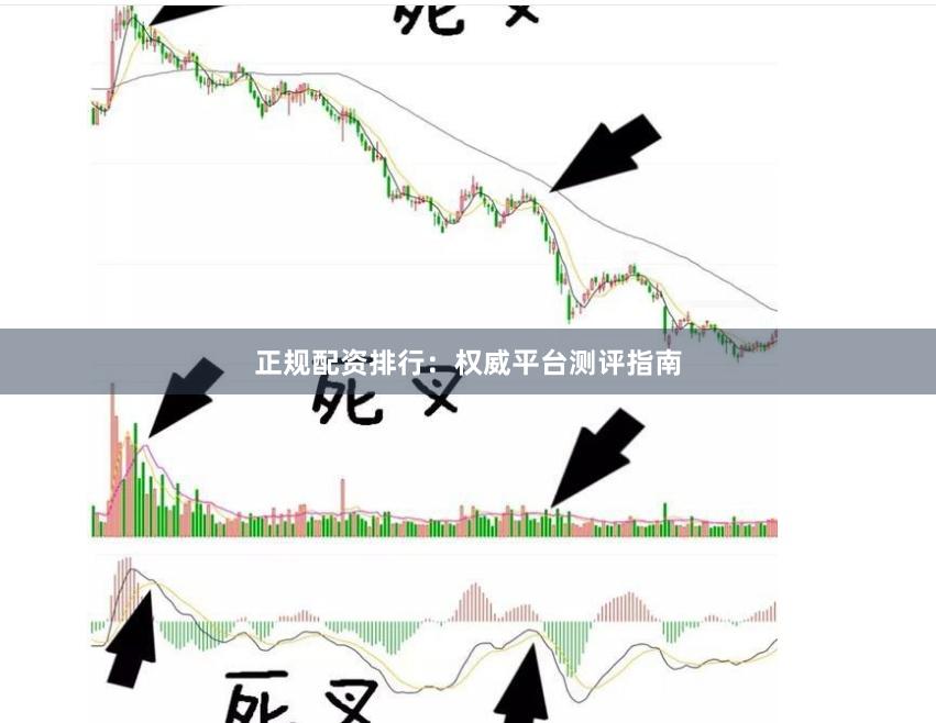 正规配资排行：权威平台测评指南